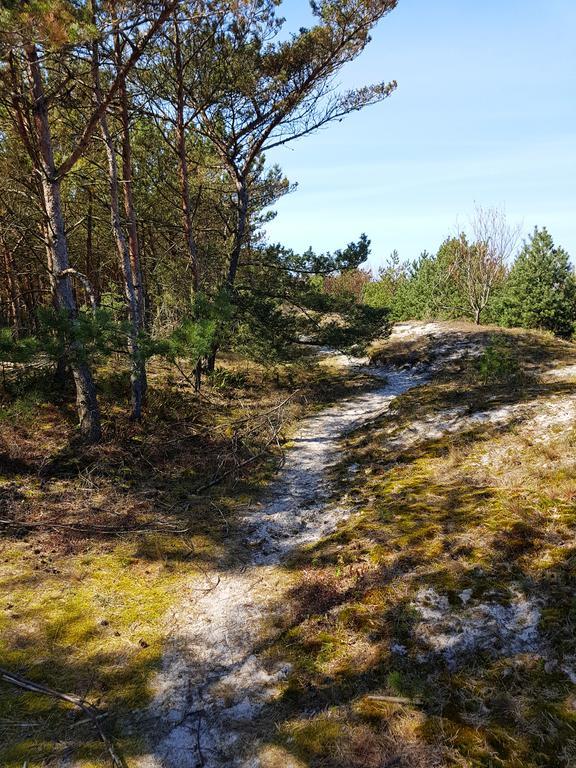 Apart Jurata Lägenhet Exteriör bild